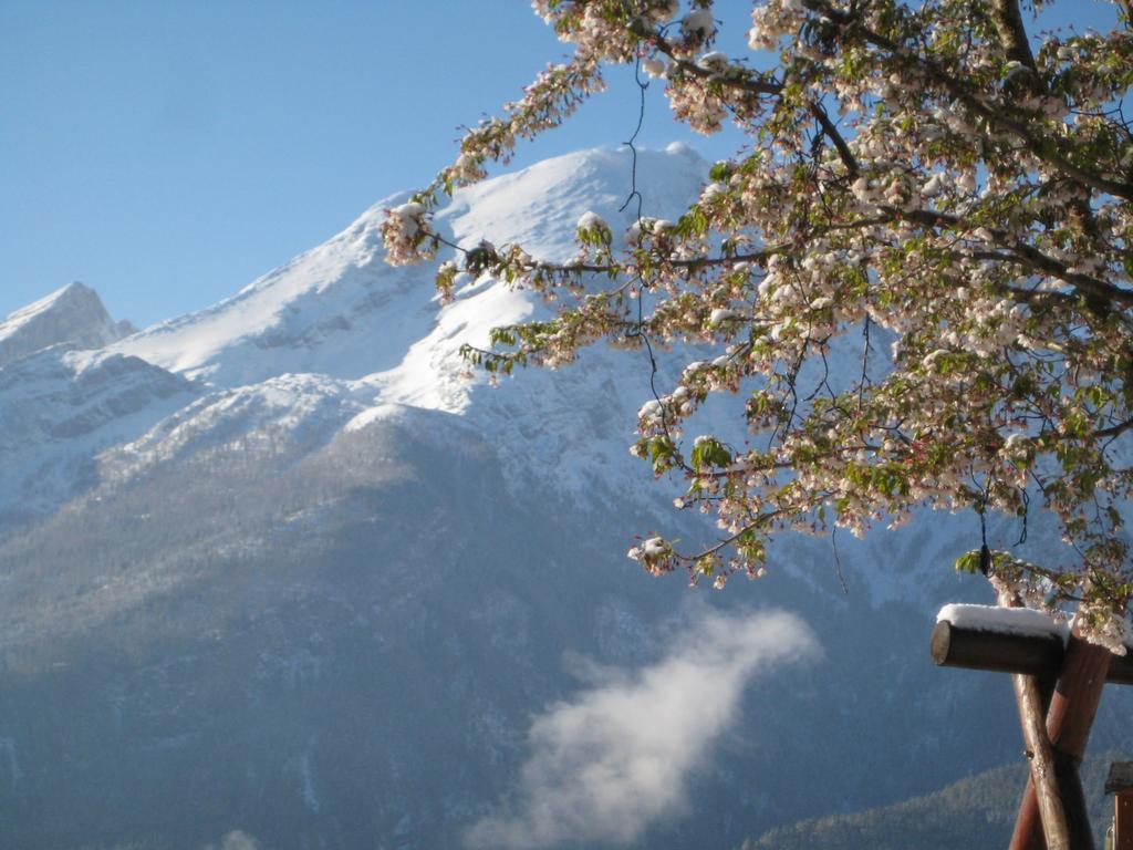 Hotel-Gasthof Nutzkaser Ramsau bei Berchtesgaden Esterno foto